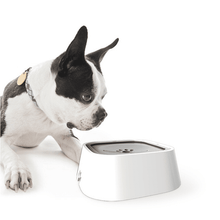 Smart Dog Bowl