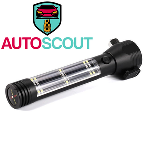 Auto Scout