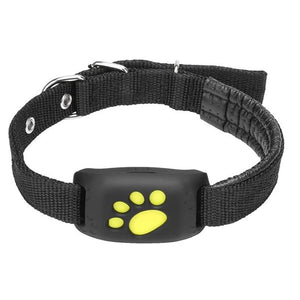 GPS Pet Tracker