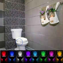 Toilet LED Night Light